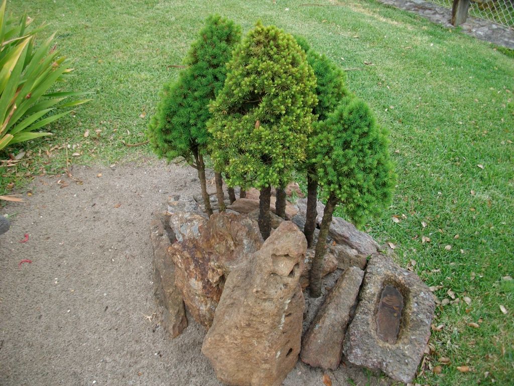 Divagando sobre la vida, a mi entender. Desde Vigo.. Divagando about